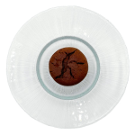 COULANT DE CHOCOLATE BLANCO